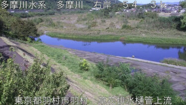 多摩川 草花排水樋管のライブカメラ|東京都羽村市のサムネイル