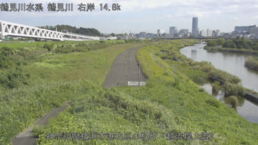 鶴見川 鶴見川多目的遊水地(越流堤上流)のライブカメラ|神奈川県横浜市のサムネイル