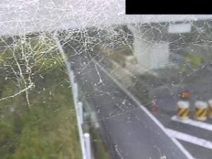 滋賀県東近江市 滋賀県道41号 横山アンダーのライブカメラ