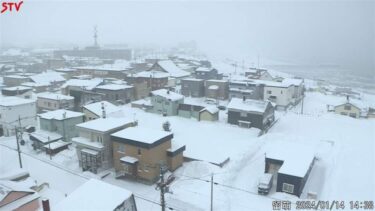 STVより留萌のライブカメラ|北海道留萌市のサムネイル