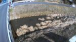 岩崎川 ⾧孫橋のライブカメラ|福島県いわき市のサムネイル