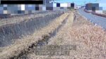 天神川 上並榎町のライブカメラ|群馬県高崎市のサムネイル