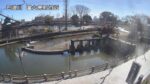巴波川 富士見町のライブカメラ|栃木県栃木市のサムネイル