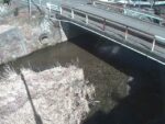 渡瀬川 山王橋のライブカメラ|福島県鮫川村のサムネイル