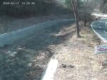 山舟生川 護岸のライブカメラ|福島県伊達市のサムネイル