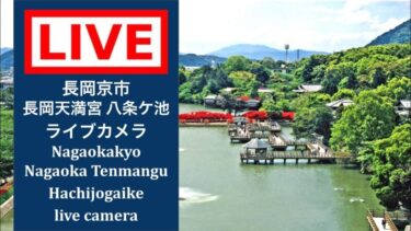 長岡天満宮八条ケ池のライブカメラ|京都府長岡京市のサムネイル