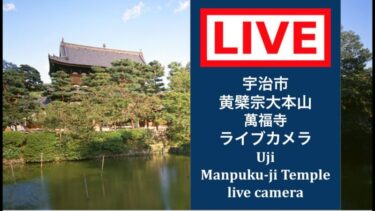 宇治市・萬福寺のライブカメラ|京都府宇治市のサムネイル