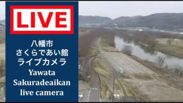 宇治川 八幡市・さくらであい館のライブカメラ|京都府八幡市のサムネイル