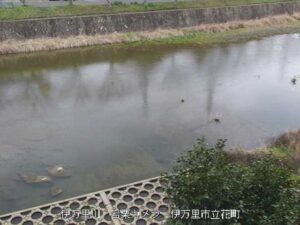 佐賀県伊万里市 伊万里川 岩栗のライブカメラ