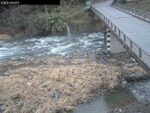 岸田川 宮脇局のライブカメラ|兵庫県新温泉町のサムネイル