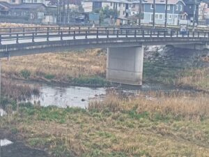 福岡県北九州市 紫川 亀年橋のライブカメラ