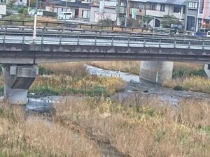 福岡県北九州市 紫川 桜橋上のライブカメラ