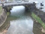 六角川 弓野橋のライブカメラ|佐賀県武雄市のサムネイル