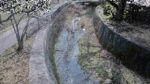 篠山川 ユリ橋（みくまりダム治水基準）局のライブカメラ|兵庫県丹波篠山市のサムネイル
