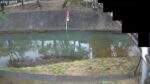 夙川 夙川局のライブカメラ|兵庫県西宮市のサムネイル