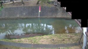 兵庫県西宮市 夙川 夙川局のライブカメラ