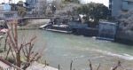 水門川 水門川遊歩道と四季の広場のライブカメラ|岐阜県大垣市のサムネイル