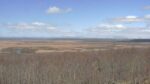 釧路湿原のライブカメラ|北海道釧路町のサムネイル