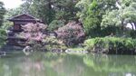 京都御苑(九條家の遺構・拾翠亭)のライブカメラ|京都府京都市のサムネイル