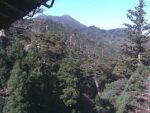 屋久島の山々のライブカメラ|鹿児島県屋久島町のサムネイル