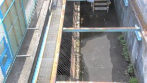 東京都小金井市 仙川 仙川取水のライブカメラ