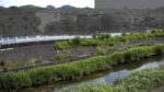 湯殿川 栄橋のライブカメラ|東京都八王子市のサムネイル
