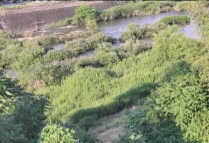 岐阜県可児市 可児川 可児工業団地(可児市姫ケ丘 あけぼの橋付近)のライブカメラ
