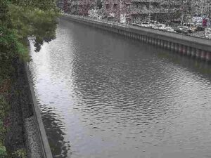 神奈川県横浜市 新田間川 新田間橋のライブカメラ