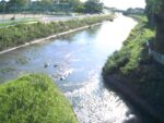 金丸川 金丸川・池町川合流部のライブカメラ|福岡県久留米市のサムネイル