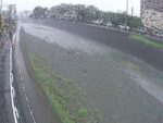 水無川 新常盤橋のライブカメラ|神奈川県秦野市のサムネイル