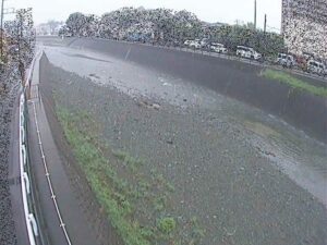 神奈川県秦野市 水無川 新常盤橋のライブカメラ