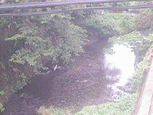 神奈川県葉山町 森戸川 下小路橋のライブカメラ
