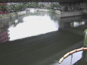 神奈川県横浜市 中村川 蒔田公園のライブカメラ
