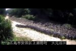 大元谷川 広島市安芸区上瀬野町のライブカメラ|広島県広島市のサムネイル