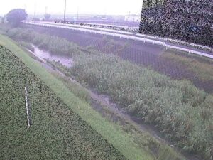 神奈川県平塚市 大根川 真田橋のライブカメラ