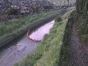 神奈川県横浜市 境川 大清水橋のライブカメラ