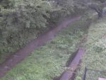 滝沢川 滝沢橋のライブカメラ|神奈川県山北町のサムネイル
