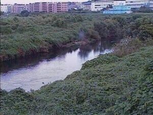 神奈川県横浜市 鶴見川 落合橋のライブカメラ