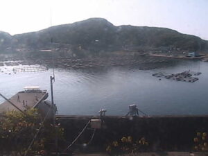 高知県大月町 柏島漁港のライブカメラ