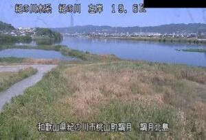和歌山県紀の川市 紀の川 調月北島のライブカメラ
