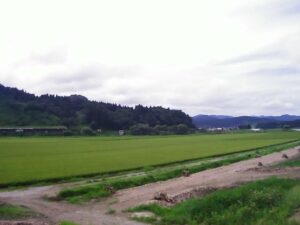 山形県戸沢村 最上川 金打坊 (45.9k 右岸)のライブカメラ