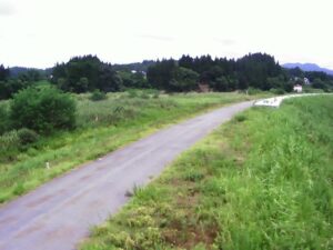 山形県尾花沢市 最上川 大向 (74.1k 左岸)のライブカメラ