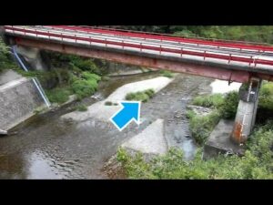 和歌山県紀美野町 貴志川 永宝橋(動画版)のライブカメラ