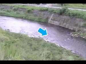 和歌山県那智勝浦町 那智川 川関橋(動画版)のライブカメラ
