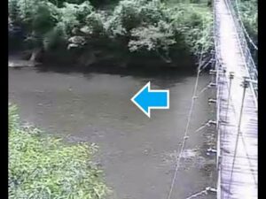 和歌山県那智勝浦町 太田川 南大居・筑紫橋(動画版)のライブカメラ