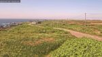 利尻島 御崎のライブカメラ|北海道利尻町のサムネイル