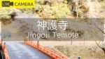 神護寺のライブカメラ|京都府京都市のサムネイル