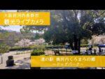 道の駅奥河内くろまろの郷ドッグパークのライブカメラ|大阪府河内長野市のサムネイル