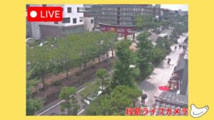 神奈川県鎌倉市 豊島屋から段葛のライブカメラ