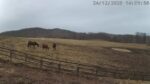 安達牧場・競走馬のライブカメラ|北海道新冠町のサムネイル